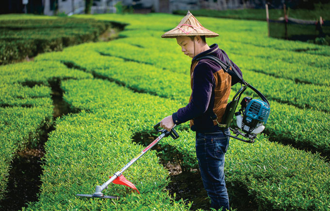 What is the difference between a hedge machine and a hedge cutter? What are the characteristics of mobile hedge clippers